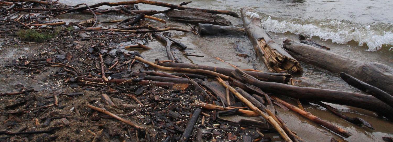 Из-за пропуска древесины стало опасно на Оби