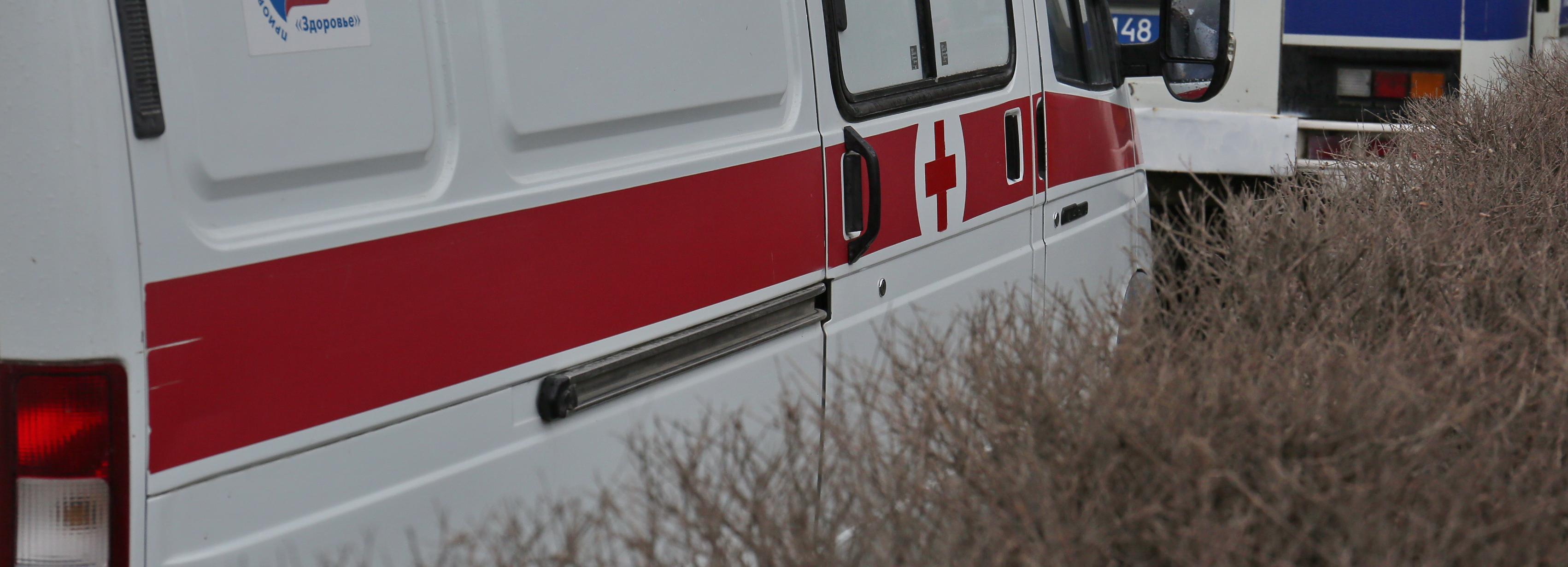 Две девочки врезались в дерево на «плюшке»: одна — в реанимации