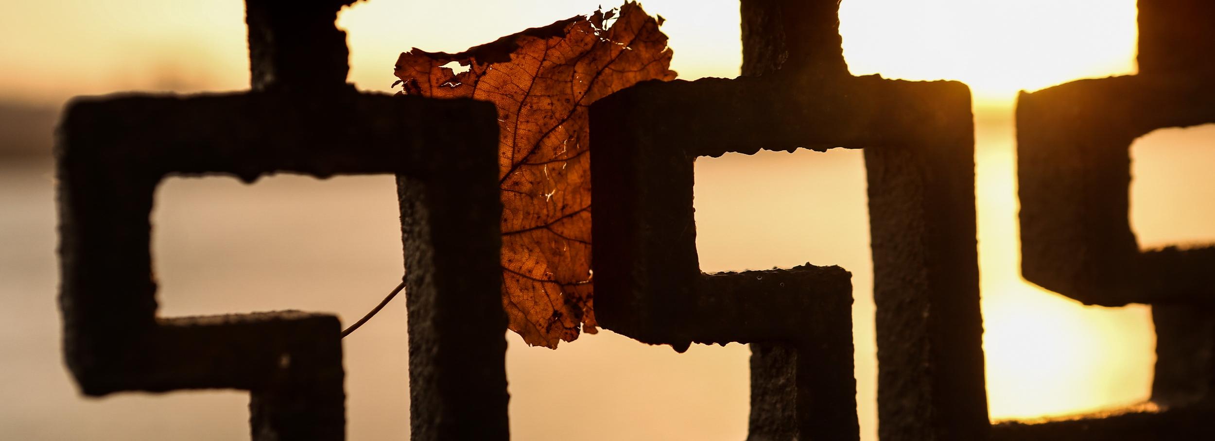 На выходных ветер в Новосибирске разгонится до 26 метров в секунду