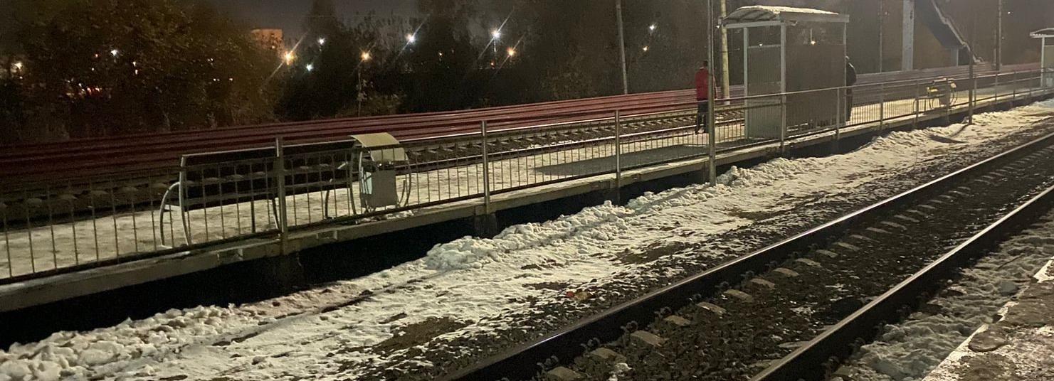 Грузовой поезд сбил сидящего на путях жителя Новосибирской области