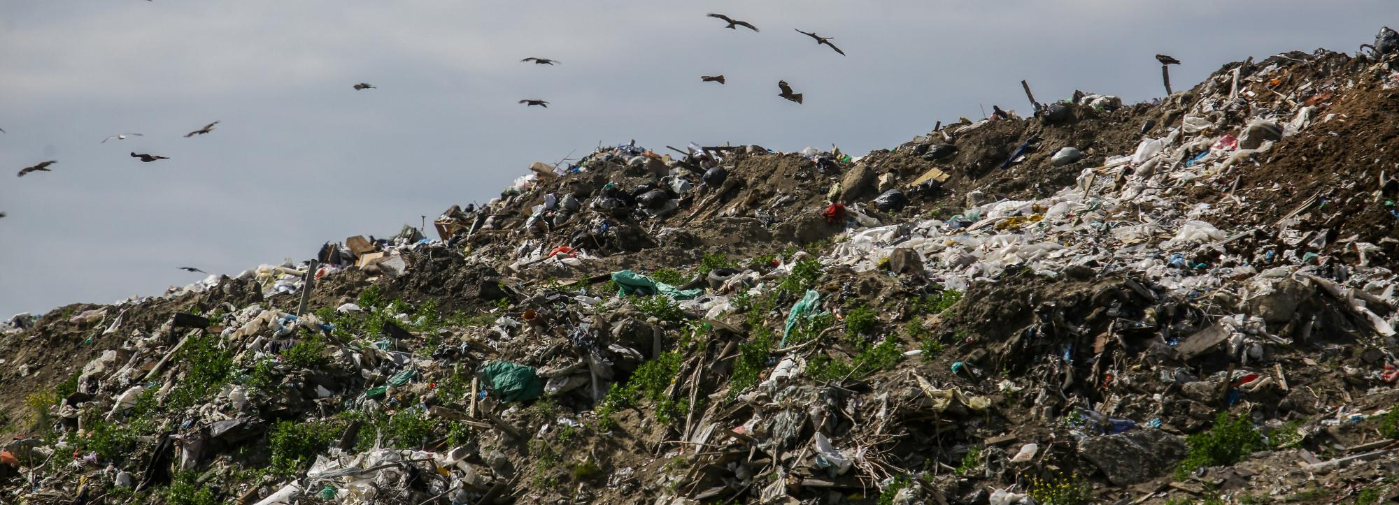 Ликвидацию свалки 1980-х годов завершат осенью в Новосибирске