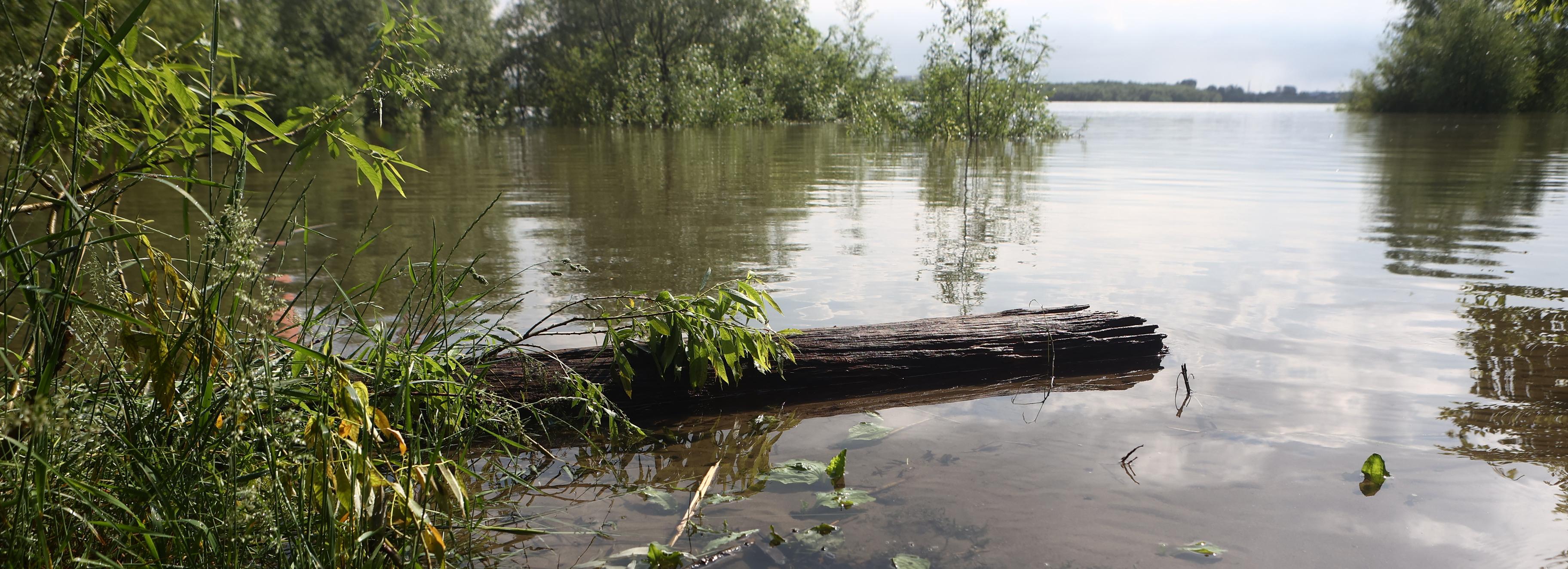 Шестерых детей унесло течением на пляже в районе Заельцовского парка