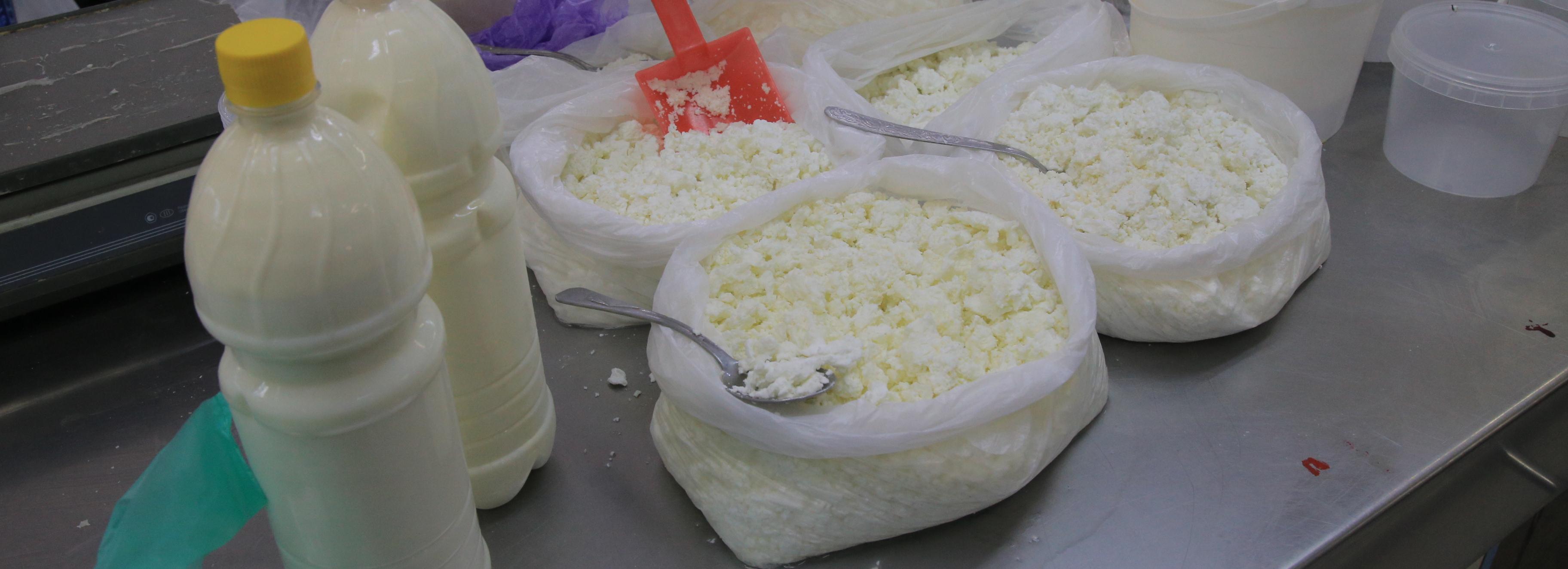 Молочный завод за 1,2 млрд рублей построили под Новосибирском