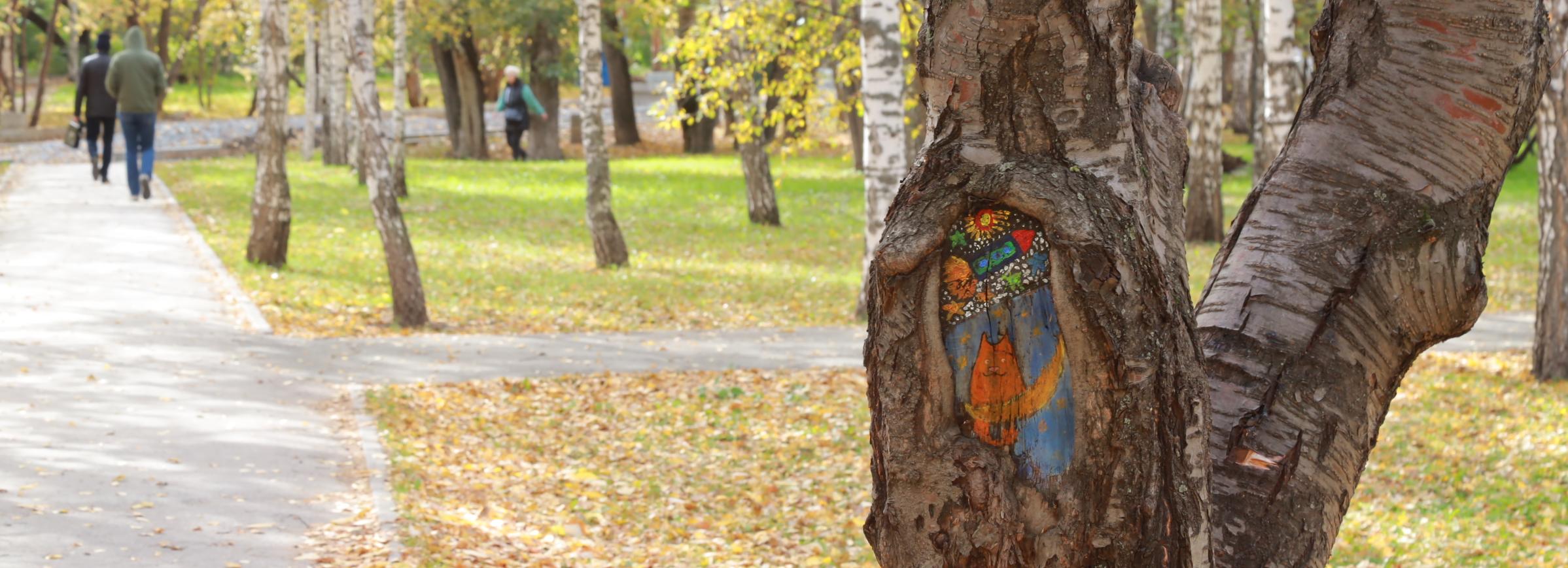 Деревья в сквере Сибиряков-Гвардейцев защитят заплатками-рисунками