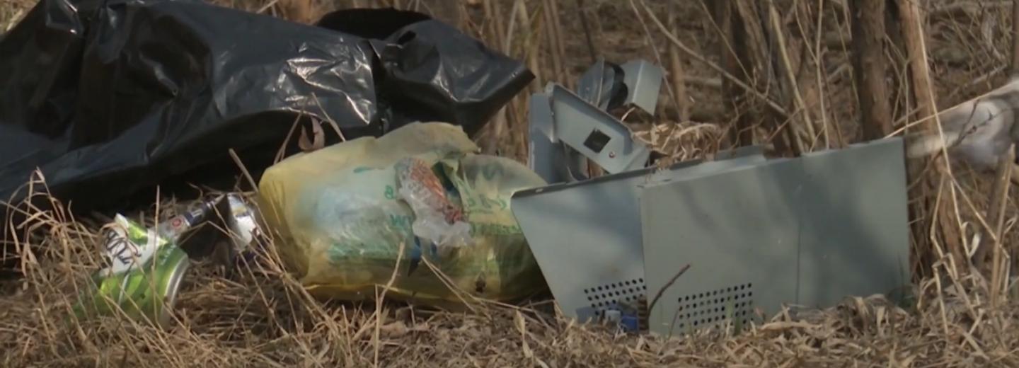 Старые компьютерные блоки нашли на субботнике у озера Спартак