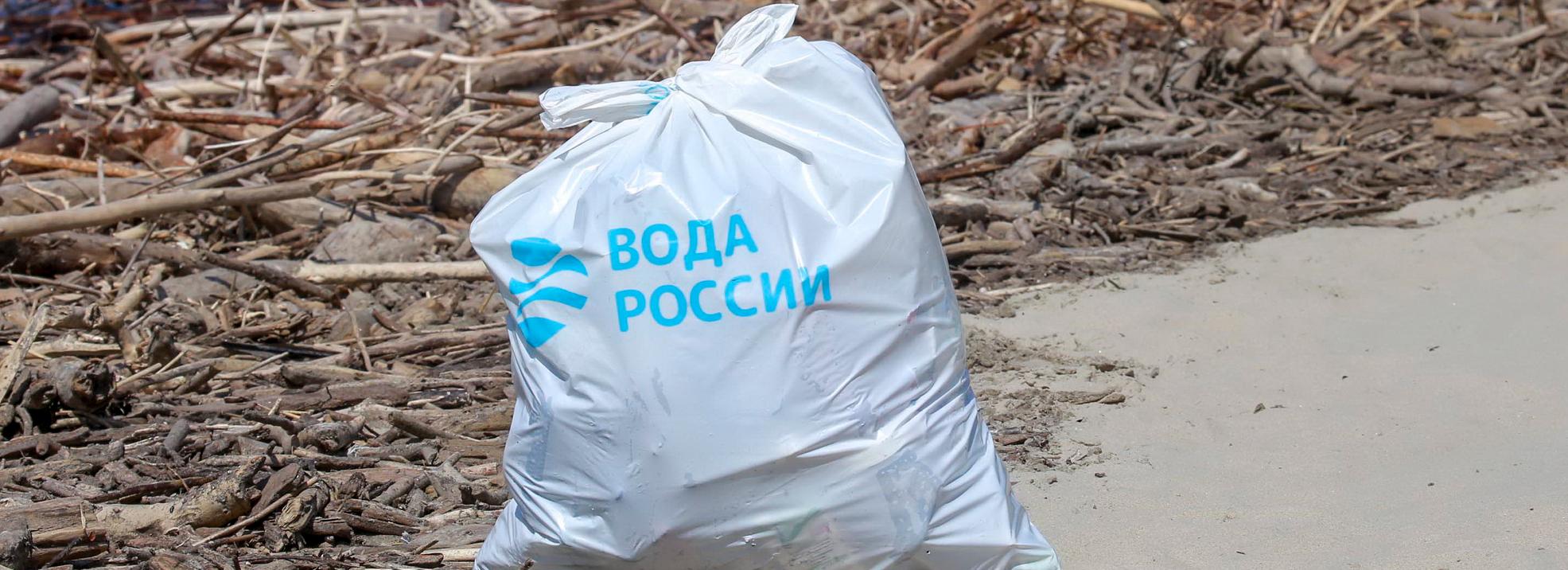 На уборку берега Ельцовки у парка «Сосновый бор» зовут новосибирцев