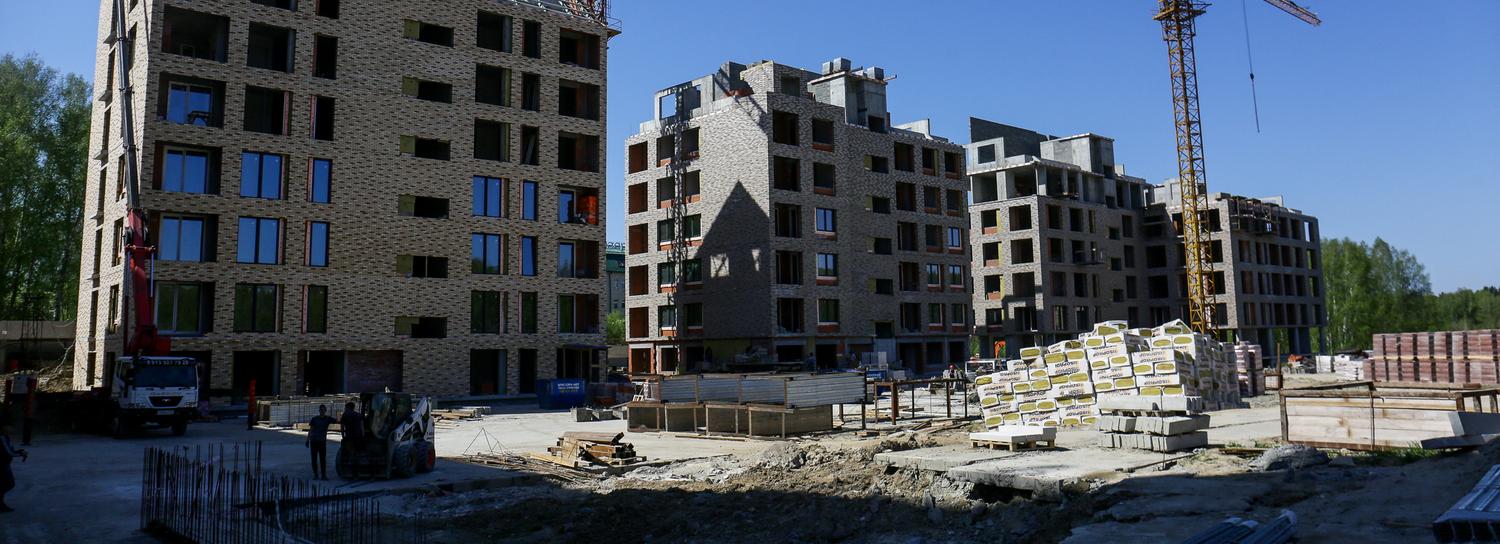 Дома с каминами в мансардах строят на берегу озера за Академгородком