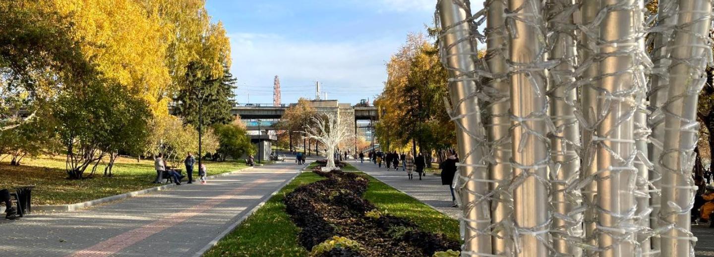 Световые деревья «выросли» на Михайловской набережной