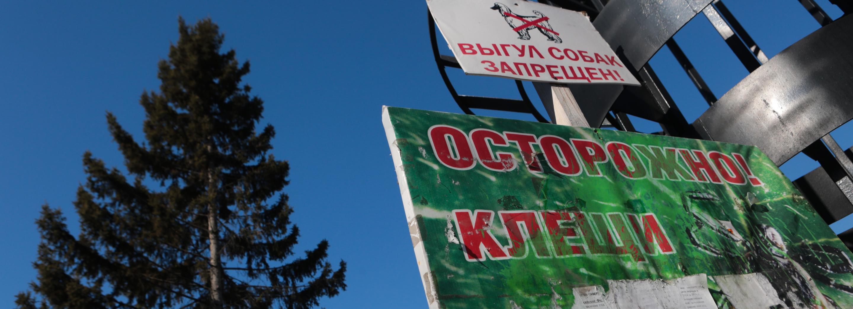 Куда обращаться при укусе клеща в 2025 году в Новосибирске