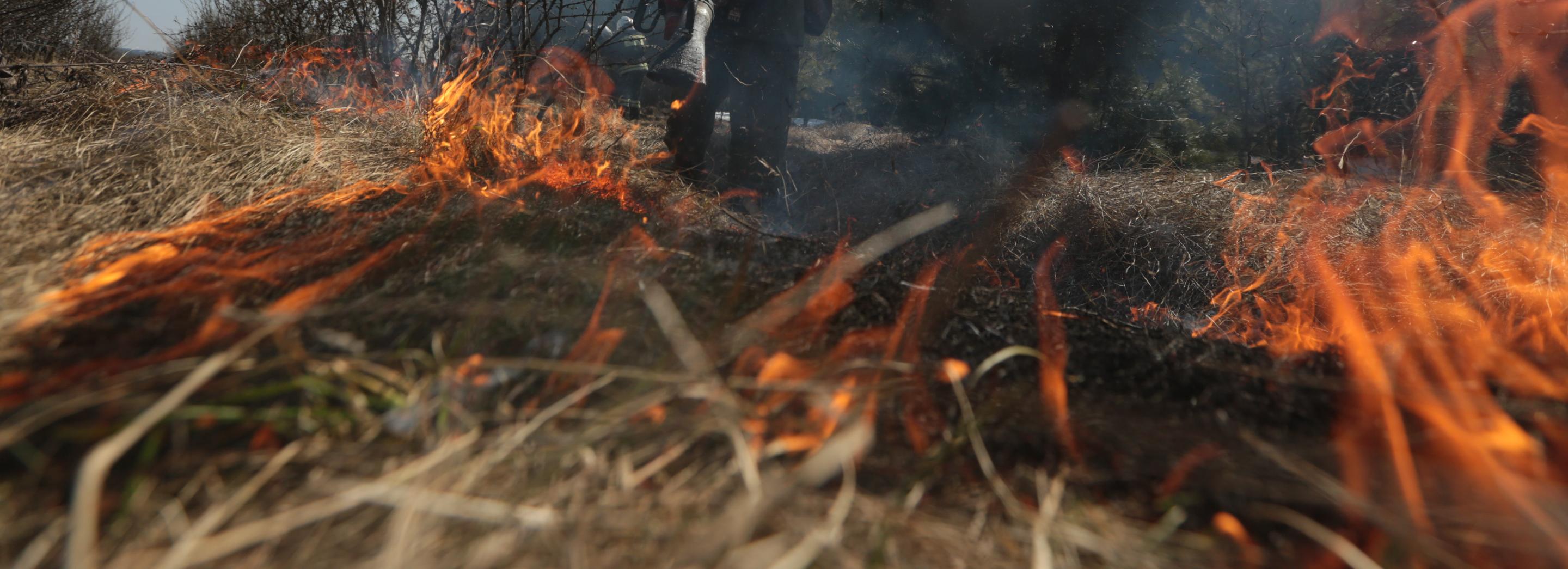 Десять человек погибли на дачных пожарах в Новосибирске