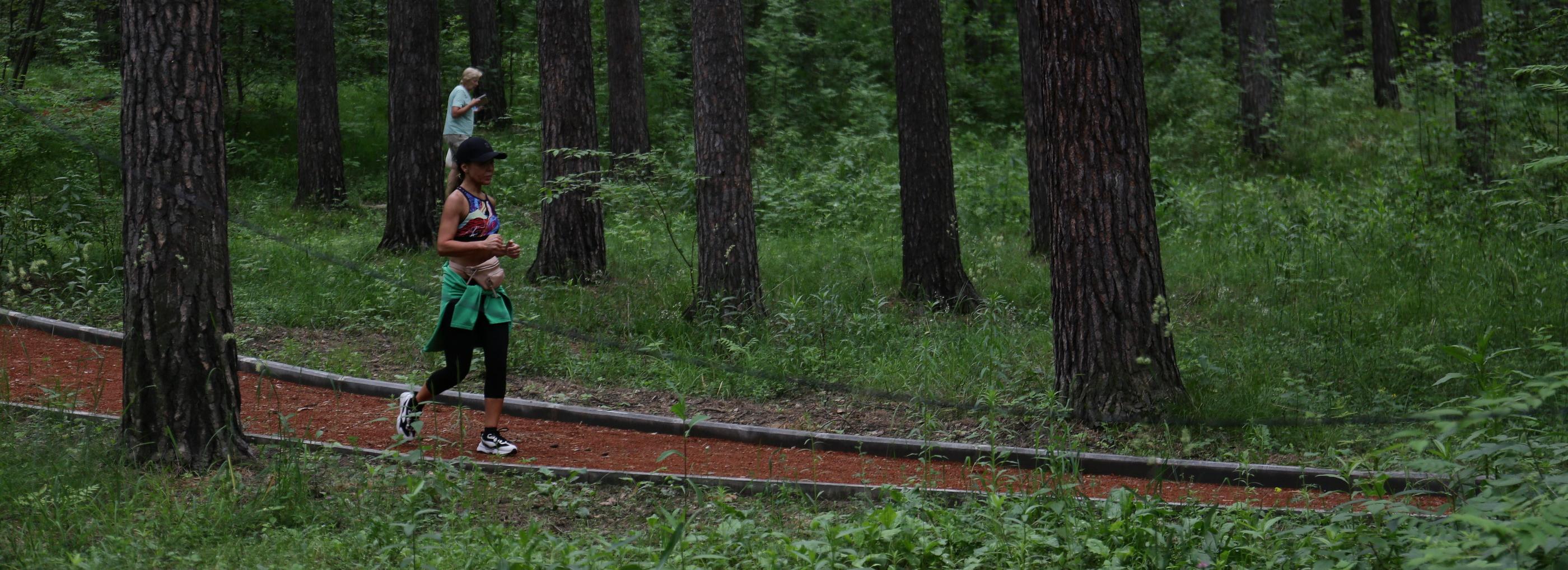 Новосибирцев зовут на благотворительный забег по Заельцовскому парку