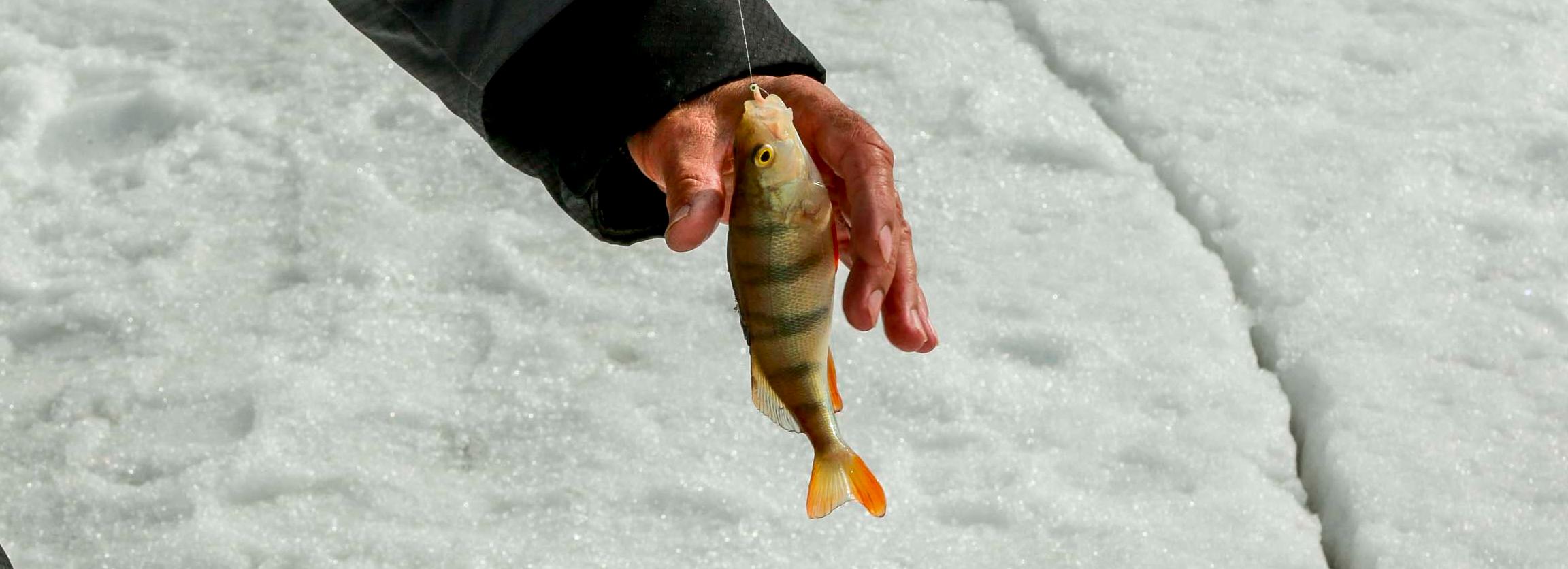 Афиша выходных: зимняя рыбалка, мороженое с солью и корейские игры