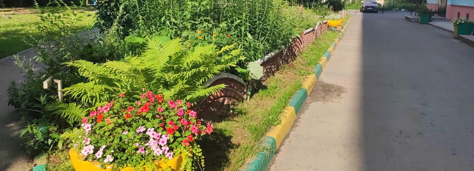 Конкурс на самую красивую клумбу Новосибирска: Телевизионная, 7