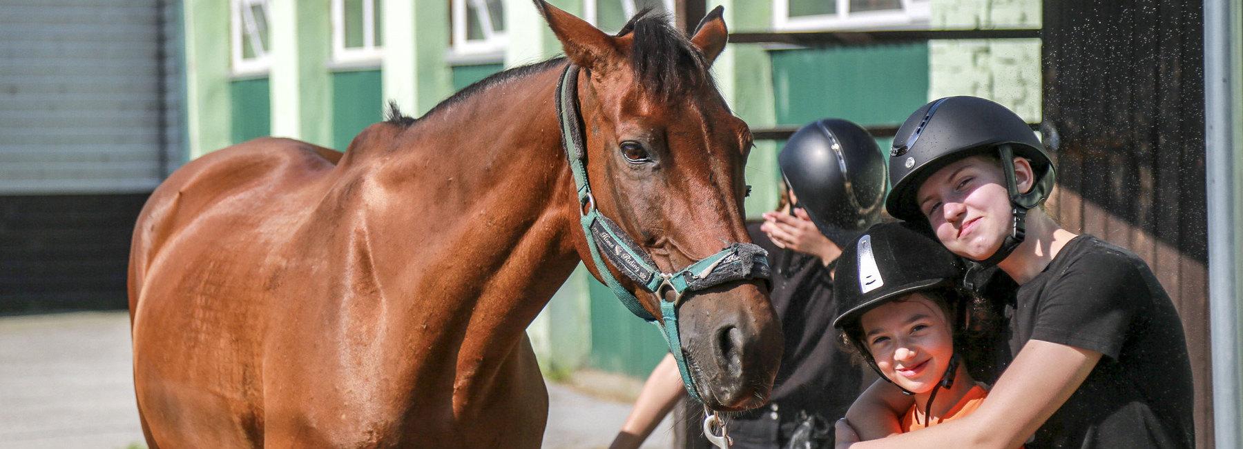 Иппотерапия в Новосибирске — как лошади лечат детей: фоторепортаж