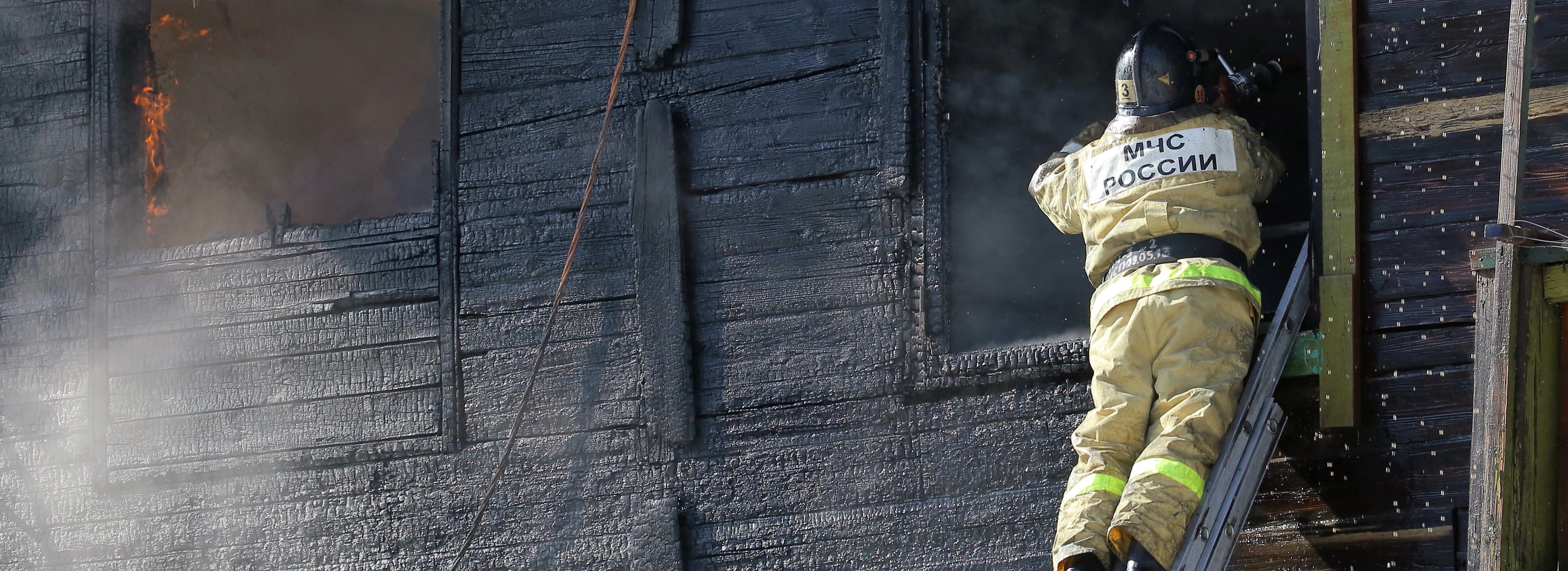 Суд отправил на лечение поджигателя приюта для собак в Новосибирске