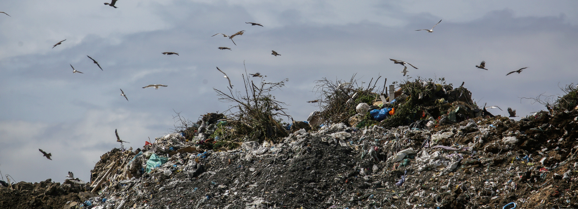 В мэрии объяснили задымление возле Левобережного мусорного полигона