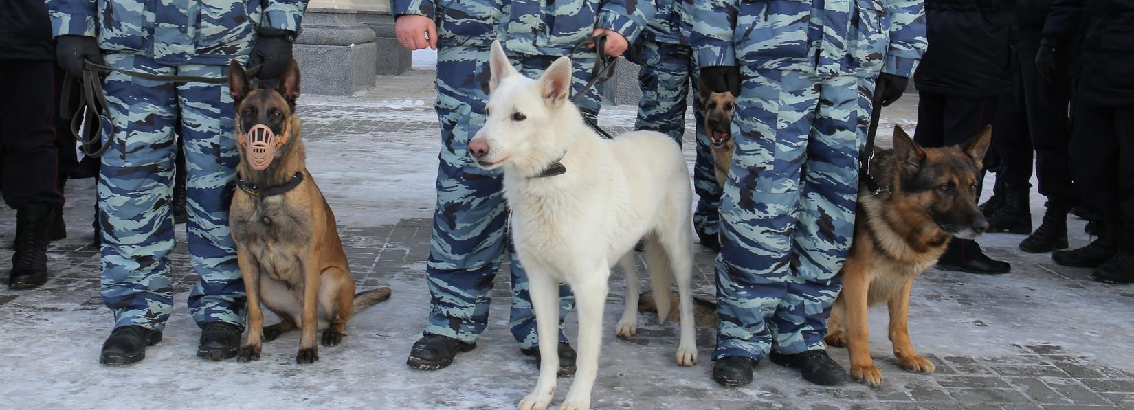 Из воинской части под Новосибирском сбежали десять человек