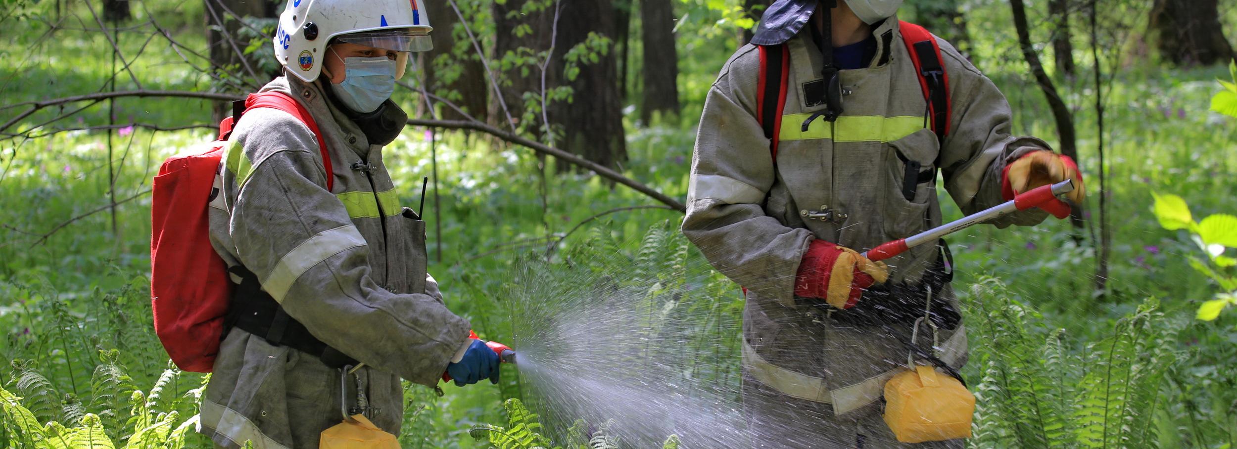 Сезон лесных пожаров может начаться раньше: Новосибирск уже готовится
