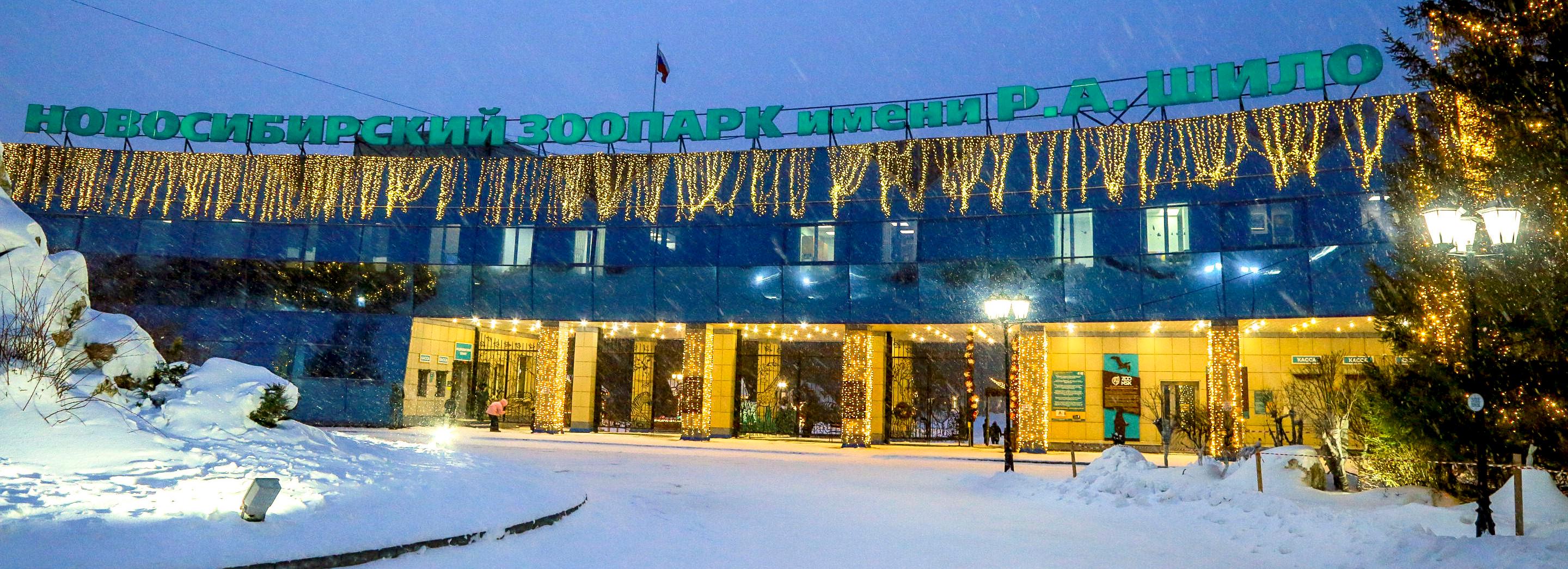 Малыши января: кто родился в новосибирском зоопарке в первый месяц года