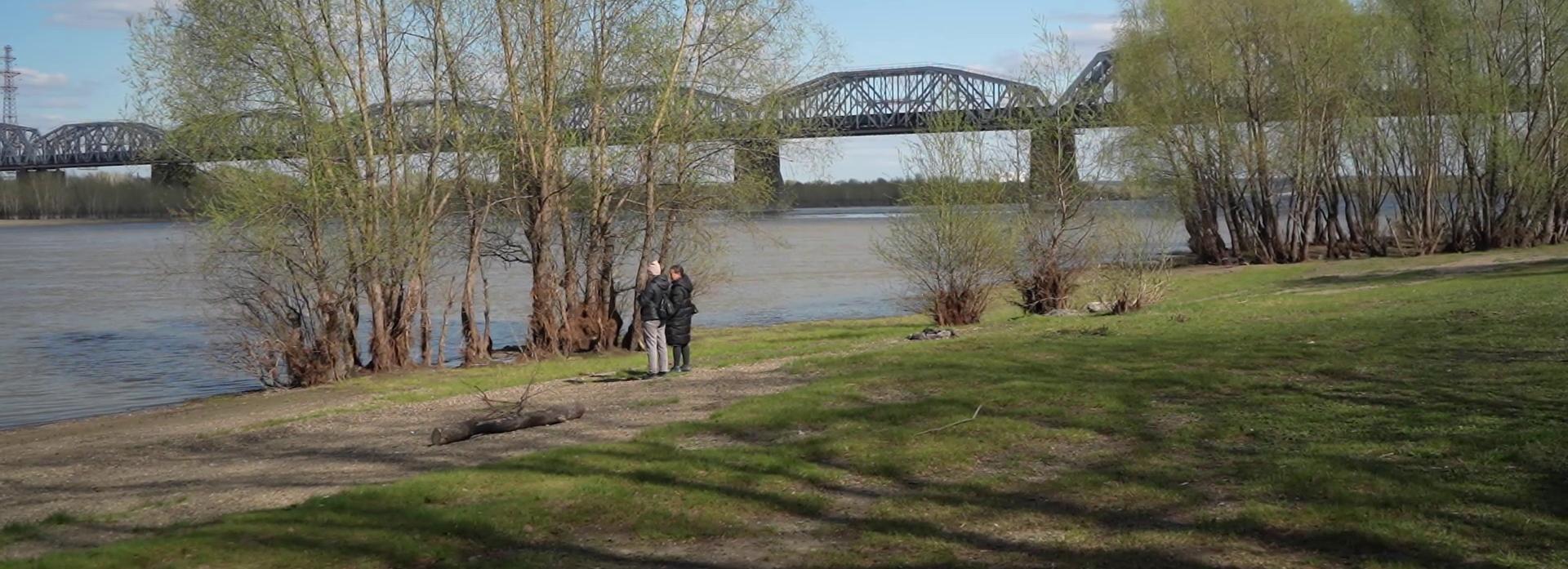 Набережную в Северо-Чемском начали готовить к благоустройству