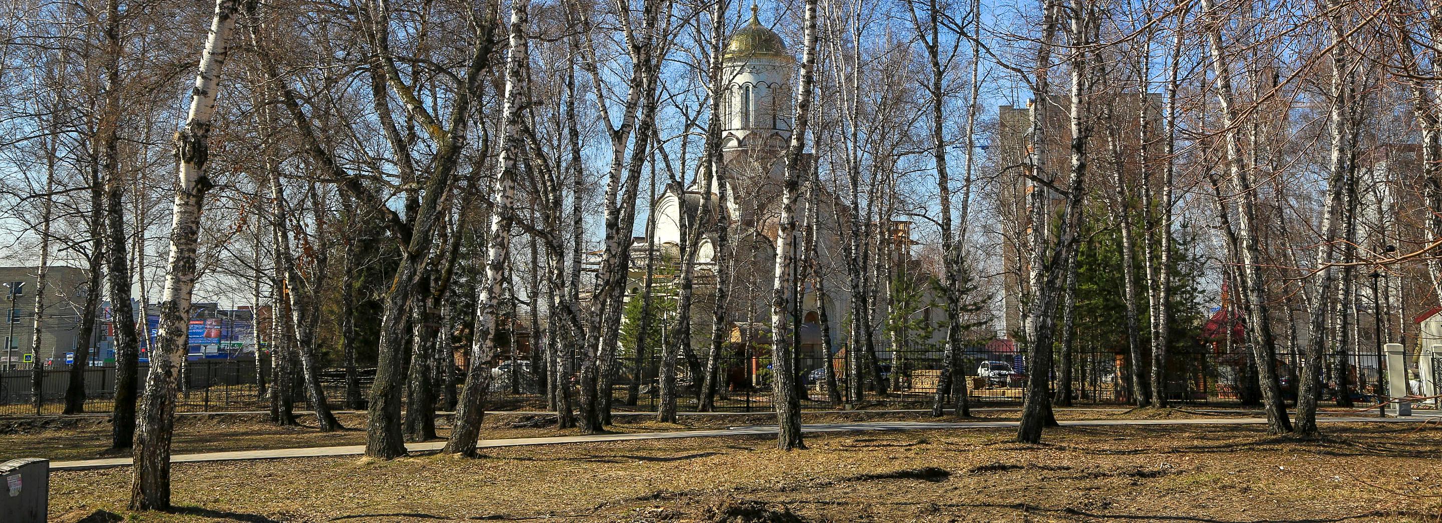 15 скверов, бульваров и аллей благоустроят за лето в Новосибирске