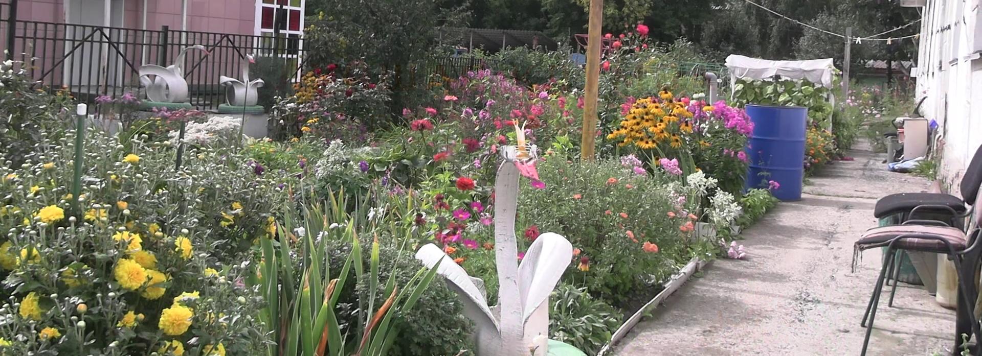 Выбираем лучшую клумбу Новосибирска: Дальневосточная, 10