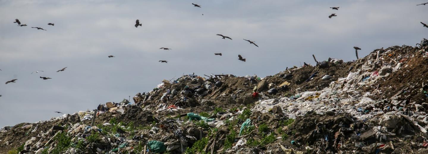 Пашинскую свалку начали ликвидировать в Новосибирске