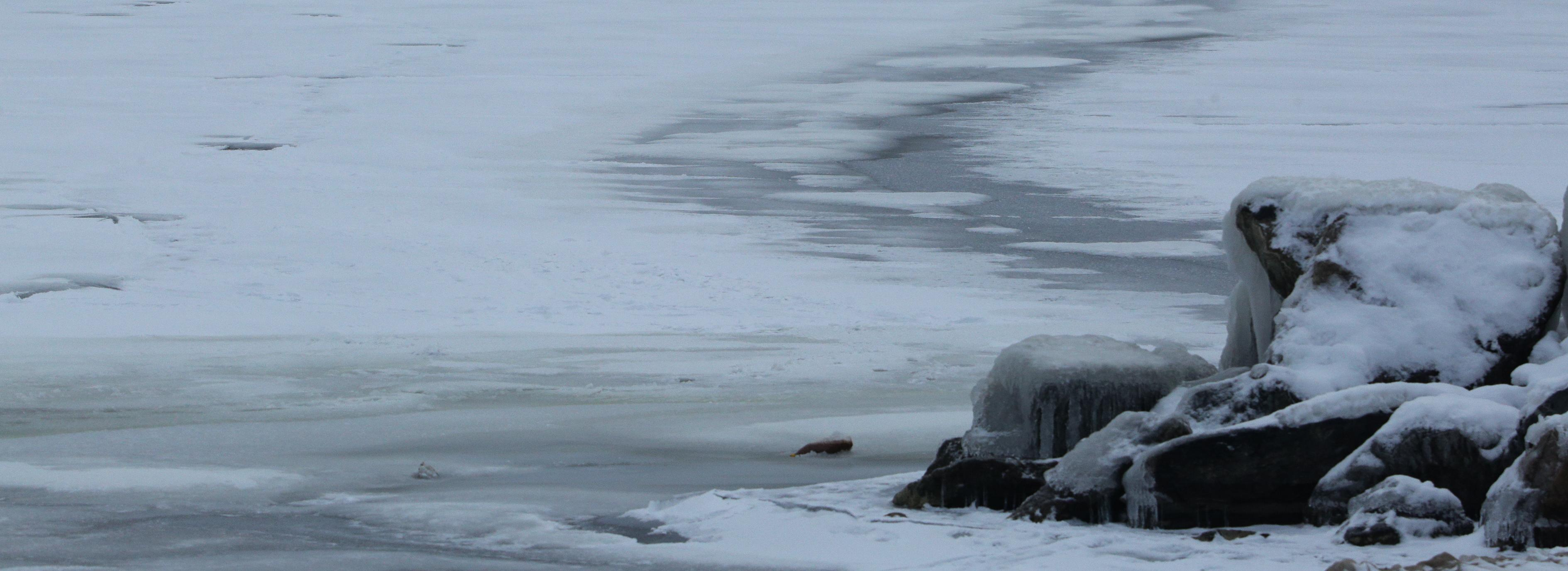 Берег Обского моря защитят от обрушения после жалоб дачников