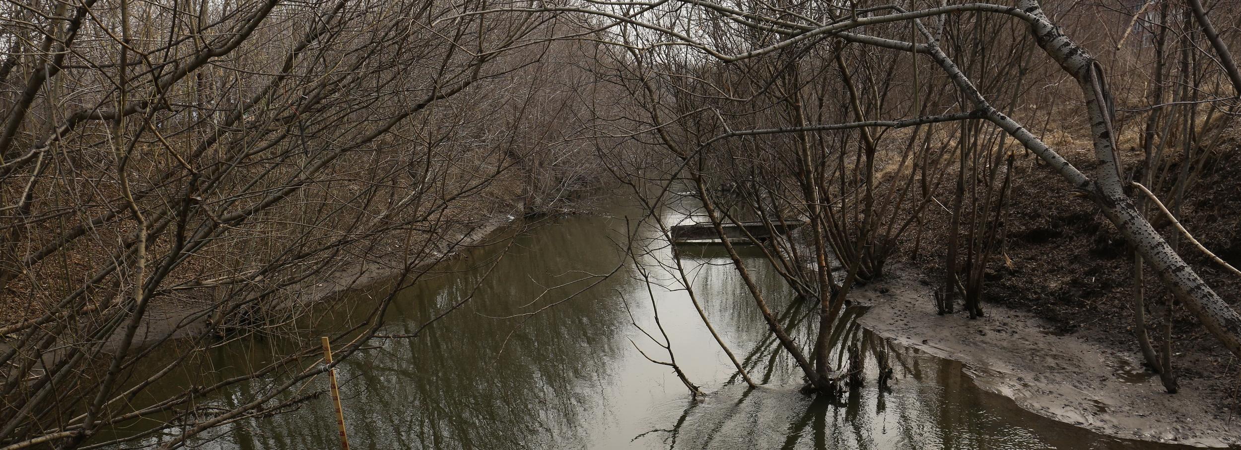 Уникальный затопляемый парк в Новосибирске начнут создавать 25 апреля