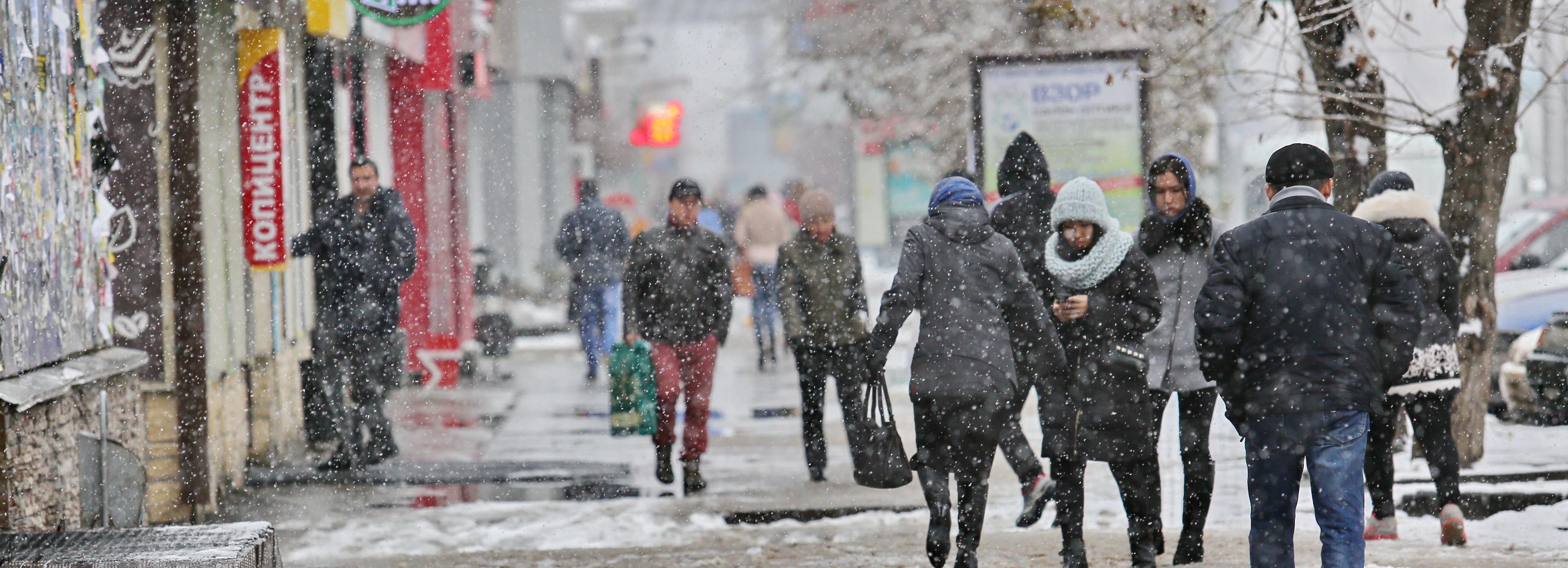 Ветер в Новосибирской области разгонится до 25 метров в секунду