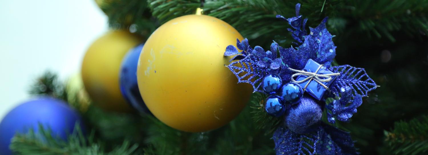 Как выбрать ёлку на Новый год