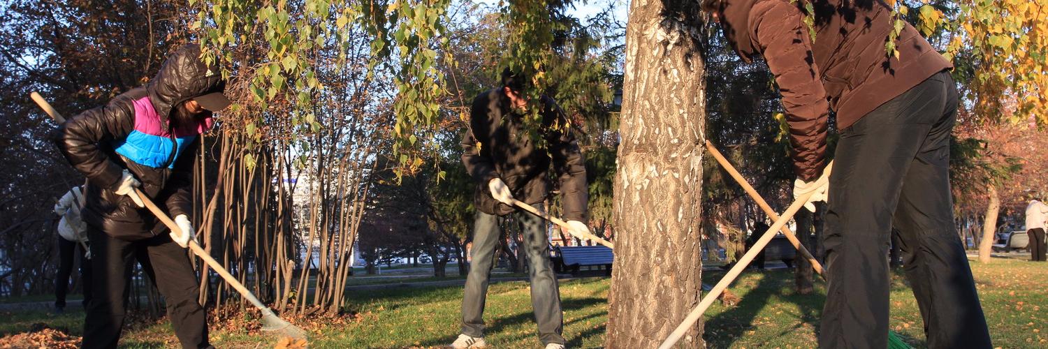 Как организовать и провести субботник