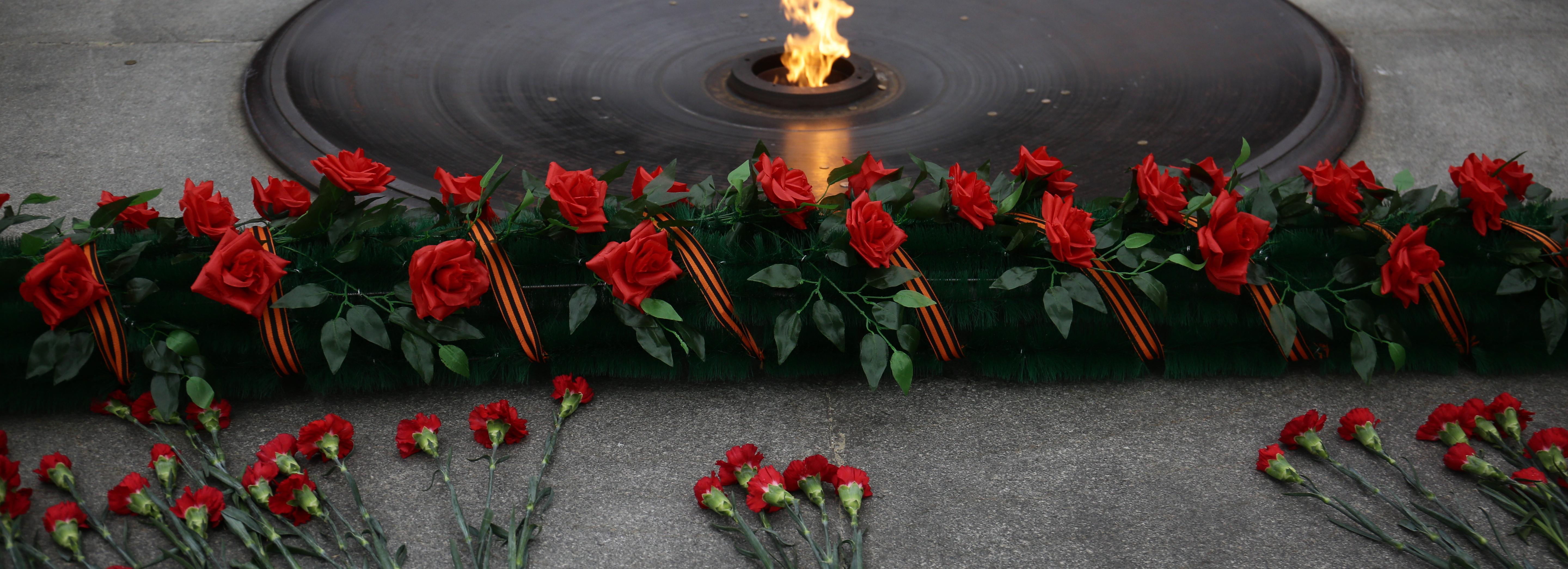 На останки новосибирского солдата наткнулись поисковики под Петербургом