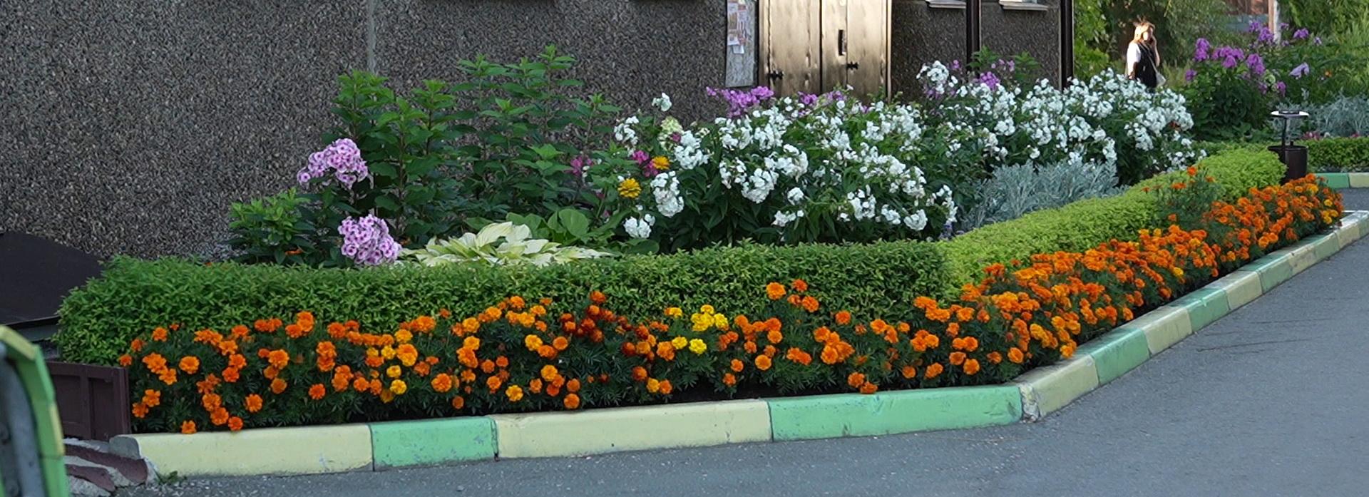 Выбираем лучшую клумбу Новосибирска: Тенистая, 23