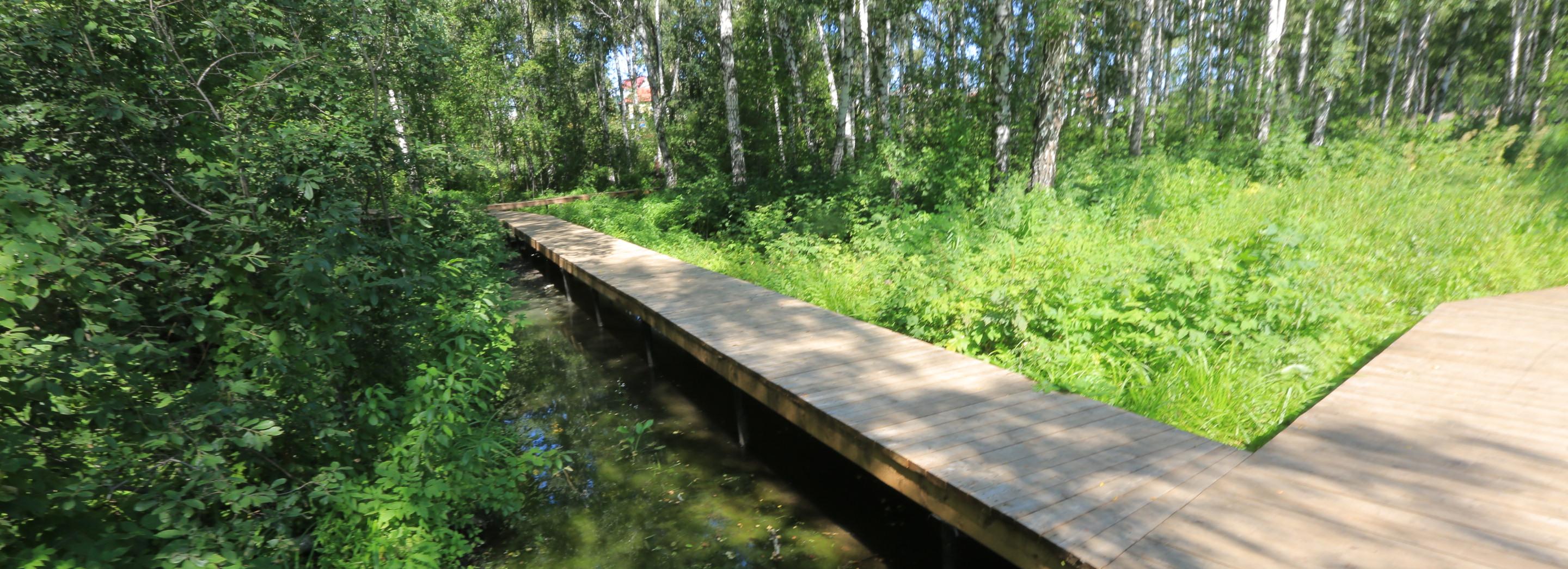 Голосование за благоустройство парков стартует уже через 10 дней