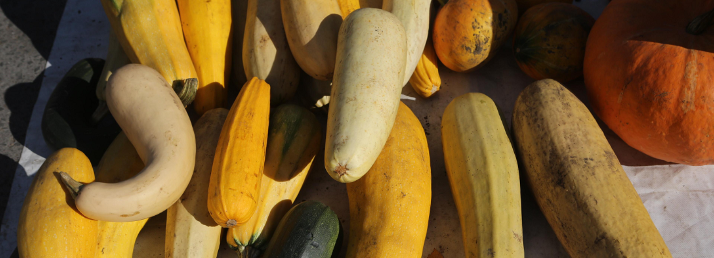 Новосибирцев позвали на полезный праздник по обмену кабачками