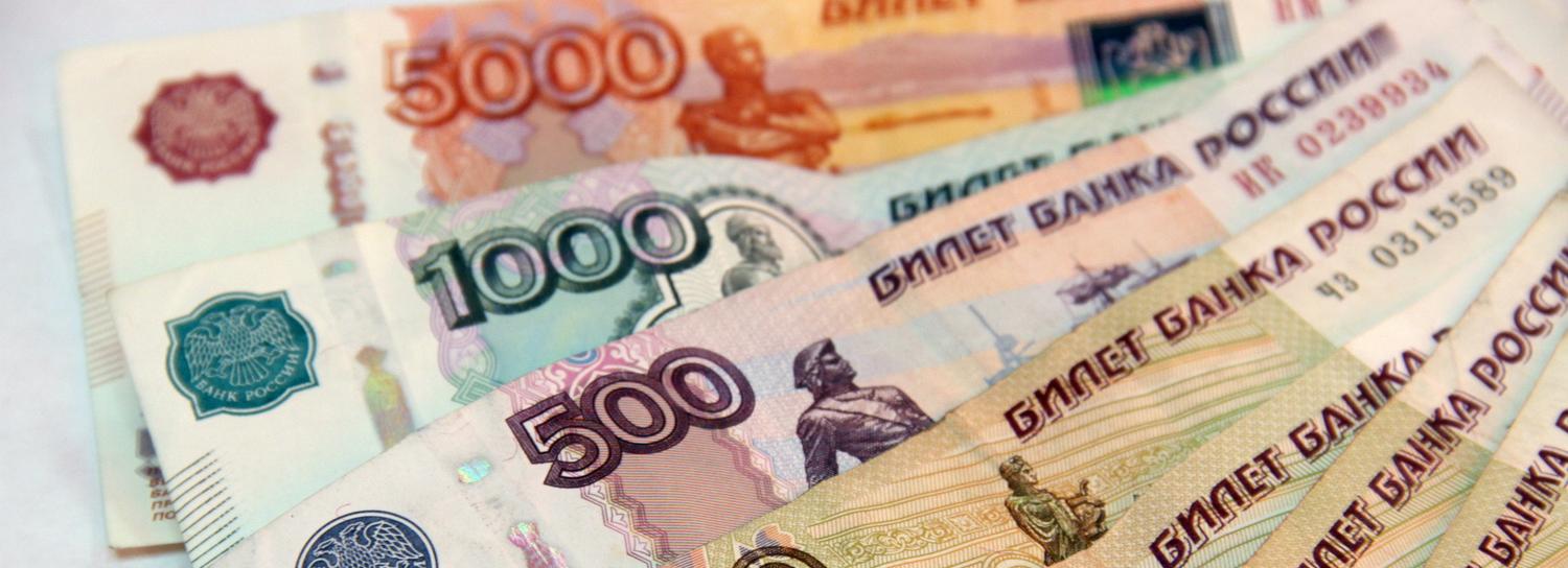 6 млрд недосчитался бюджет Новосибирской области из-за долгов по налогам