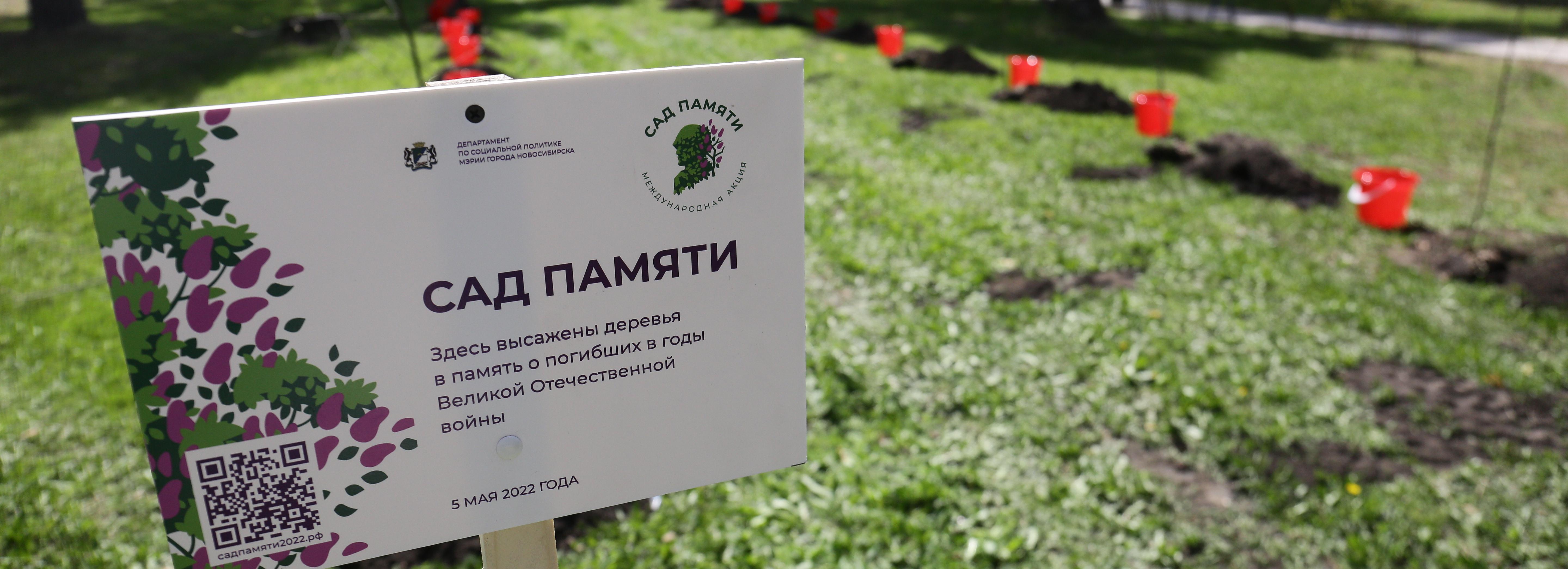 Посвятить деревья героям Великой Отечественной предлагают новосибирцам