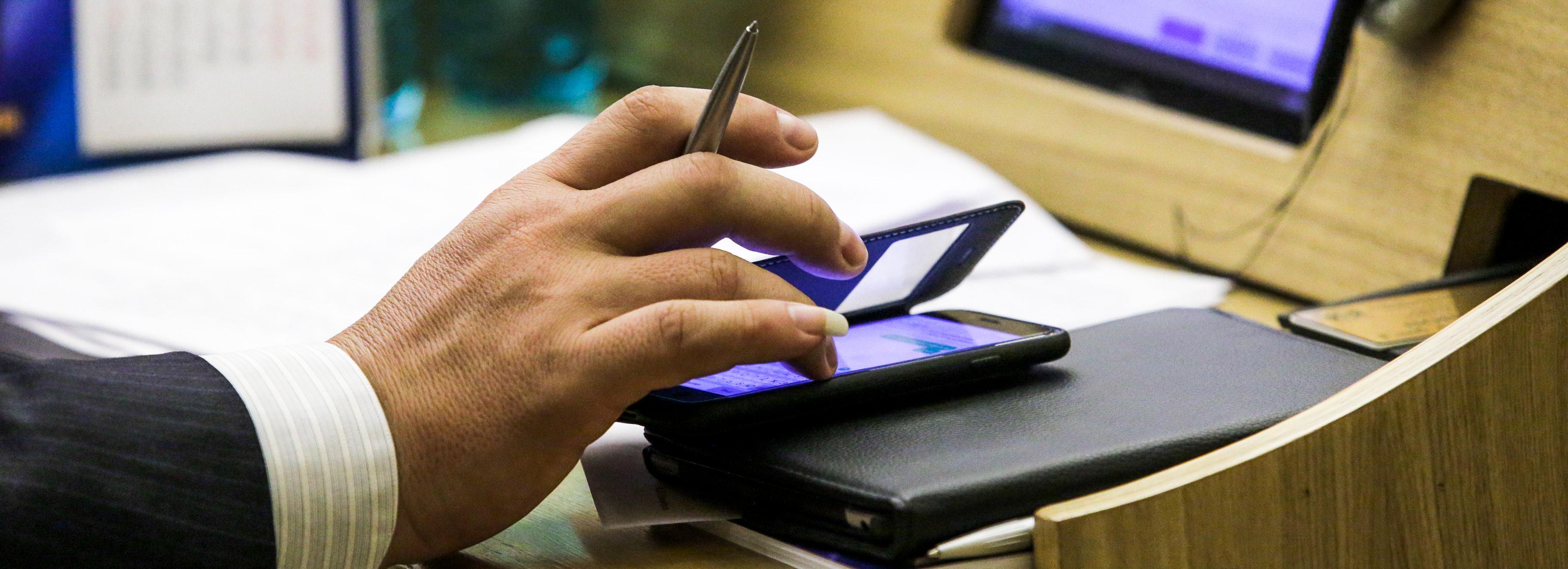 Закон о бродячих животных в Новосибирске приняли в первом чтении