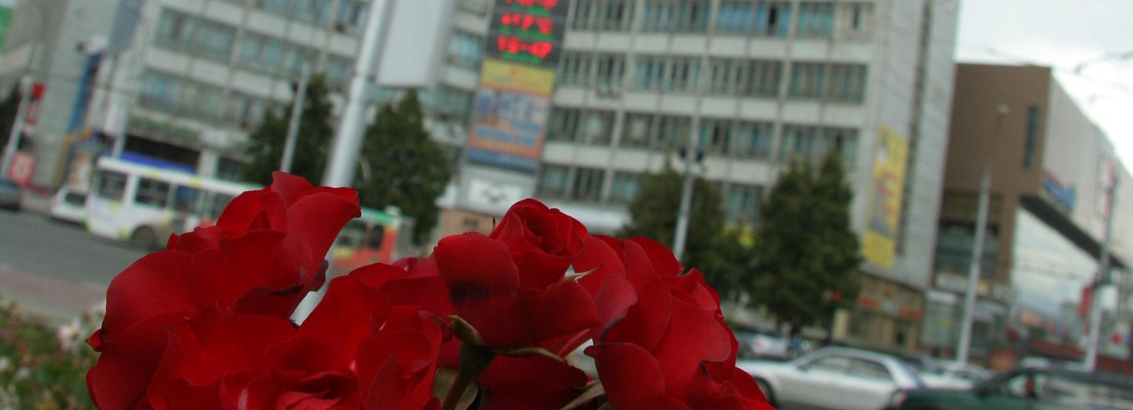 Заельцовский стал лучшим районом Новосибирска в 2019 году