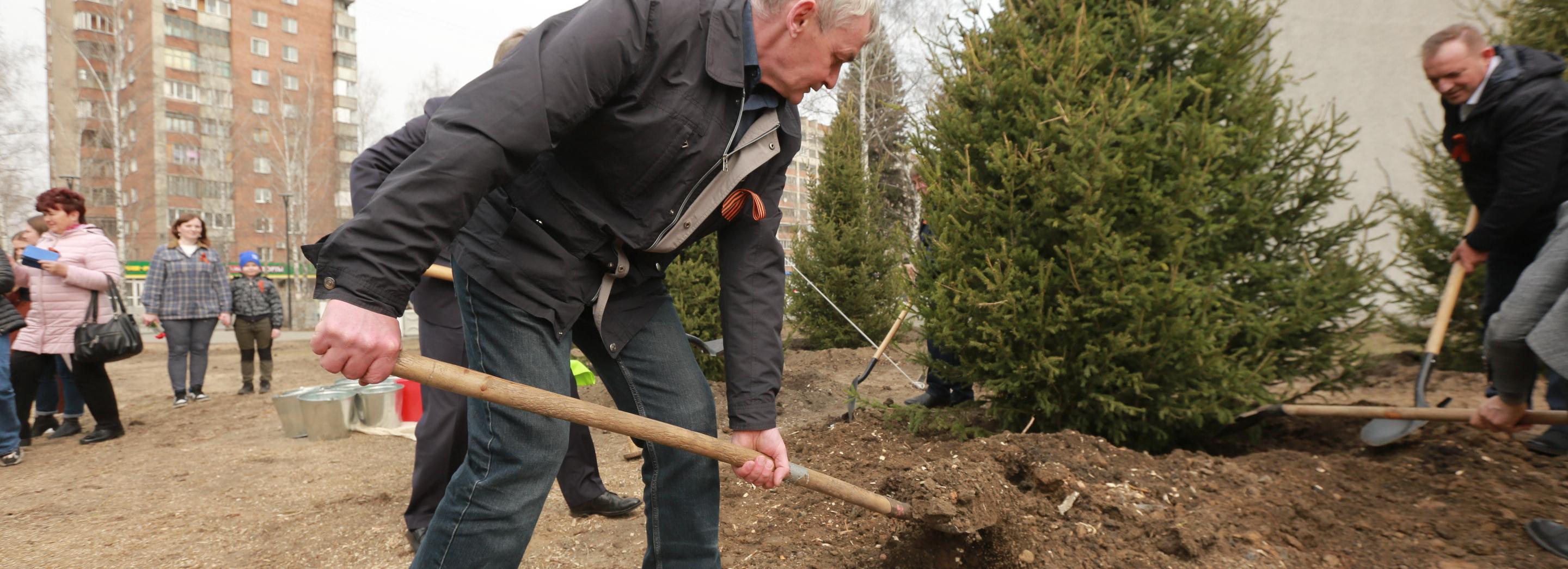 «Сад памяти» из елей и яблонь появился у Монумента Славы в Первомайке