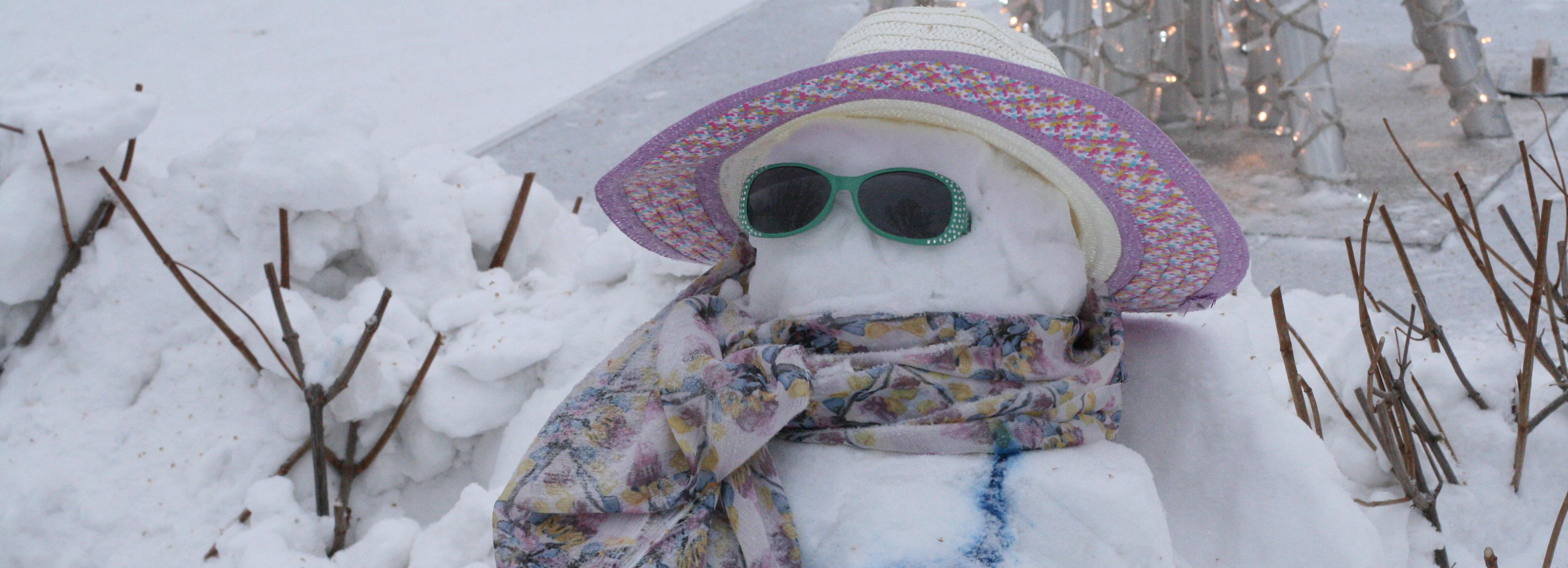 Жители Новосибирска слепили рекордное число снежных баб