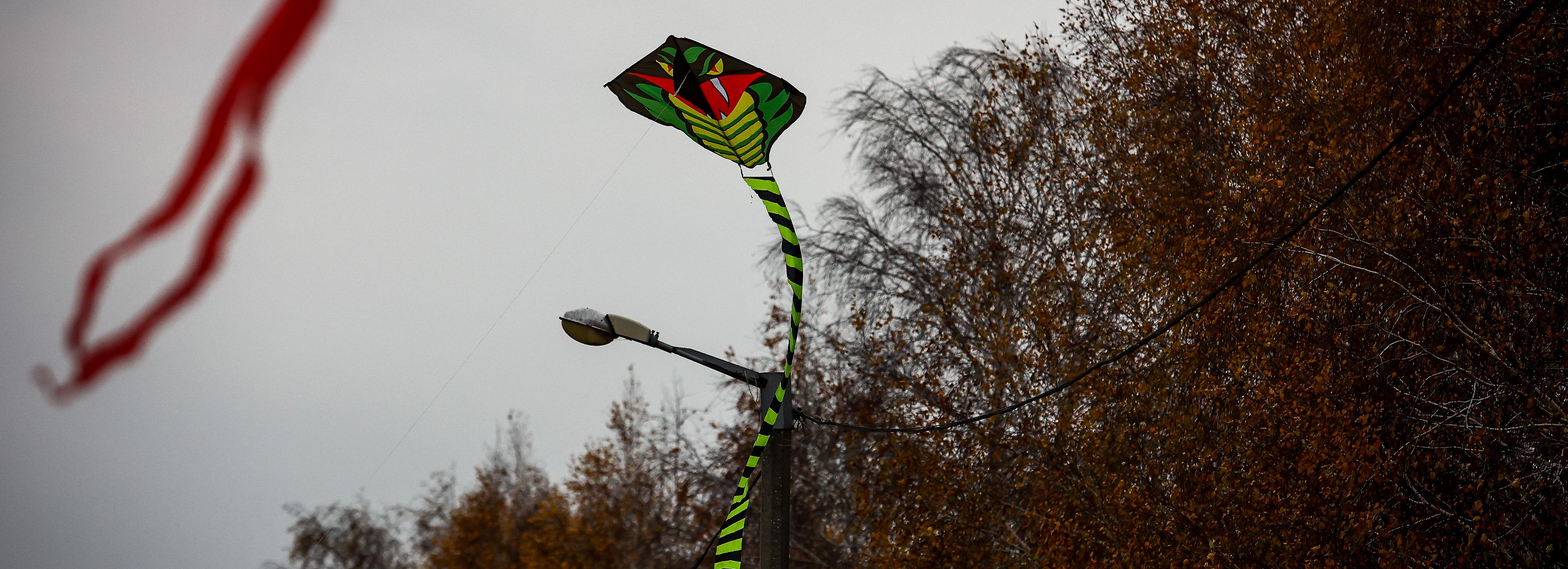 Пролетающих драконов заметили над набережной ОбьГЭС