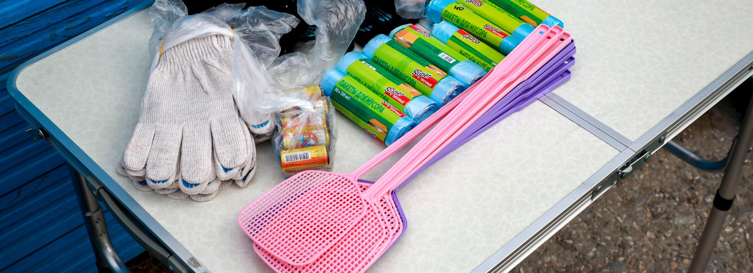 Жители Академгородка устроили «Экодвор» с раздачей мухобоек