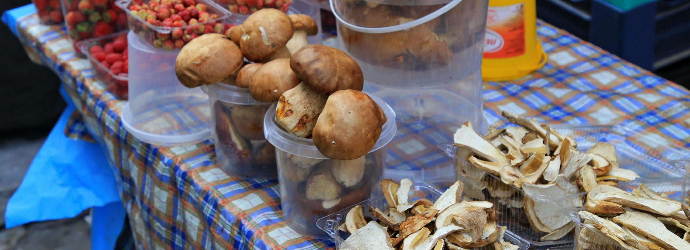 Трое новосибирцев отравились грибами