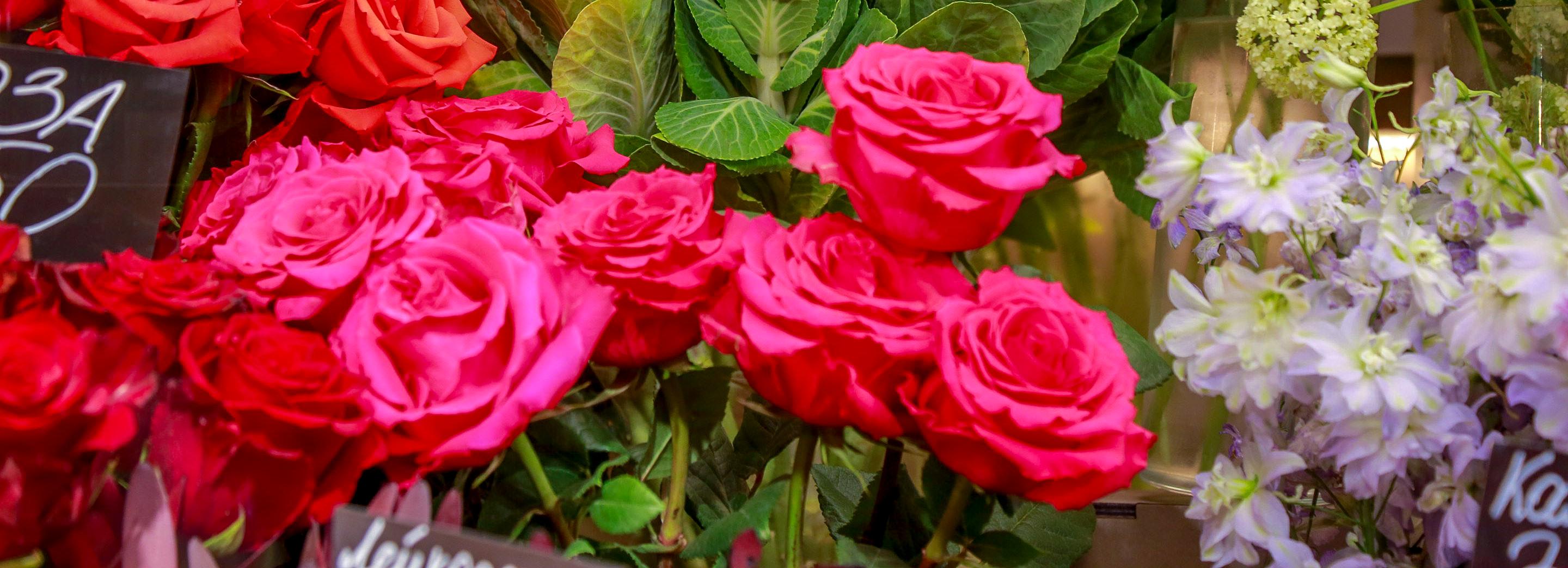 Миллионы алых роз готовят флористы: сколько просят за один букет