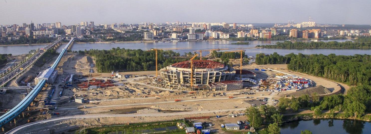 Мэрия пообещала не трогать ласточкины гнёзда у нового ЛДС