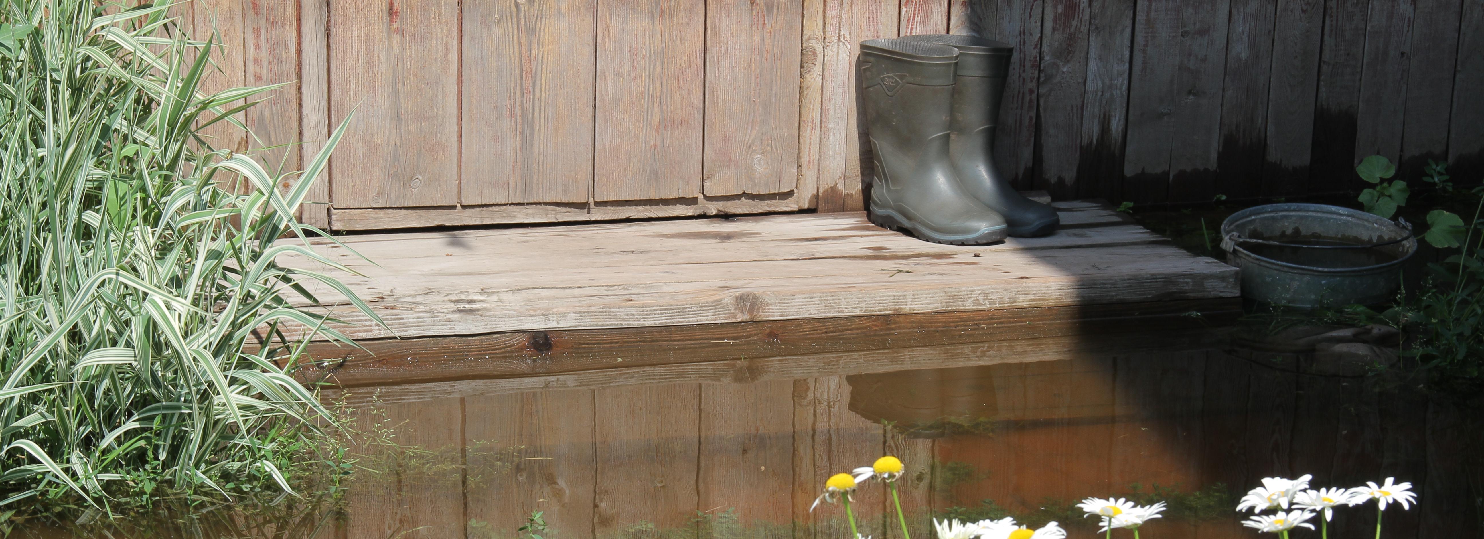 С дачниками из Кировского района обсудили паводок и утилизацию шин