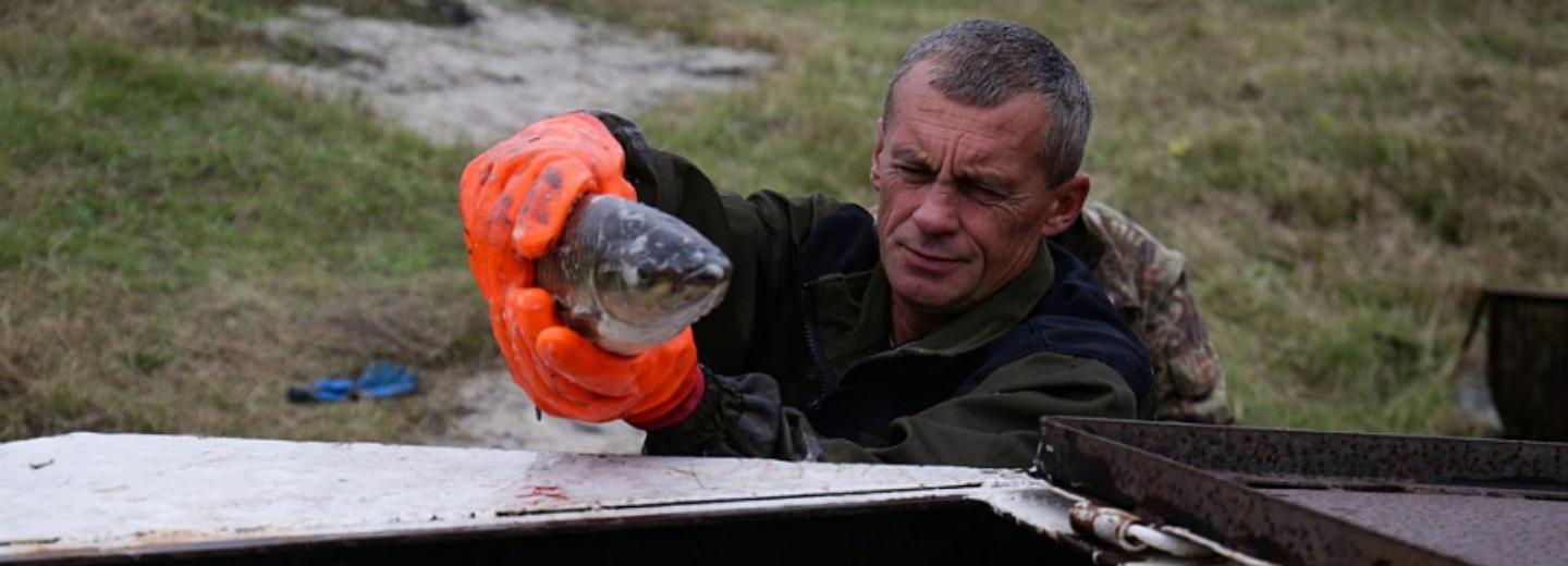 Новосибирская неделя: зарыбление, городские легенды и простые фасады