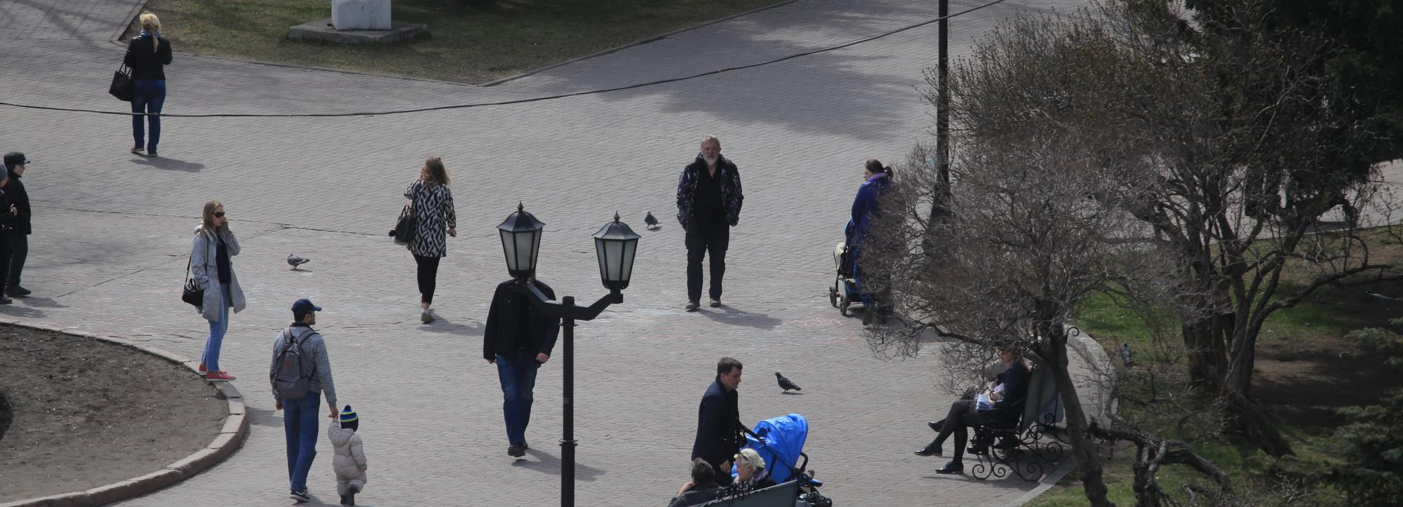 Сотню сухих и больных деревьев вырубят в Первомайском сквере